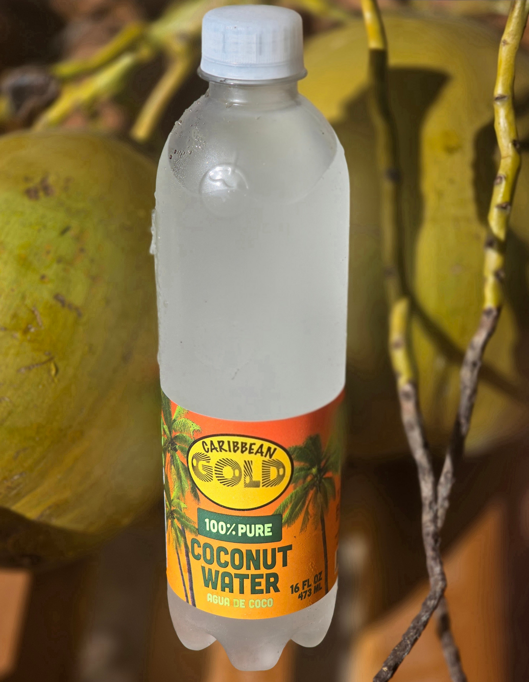 Coconut Water